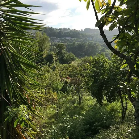 L&c * Guimarães
